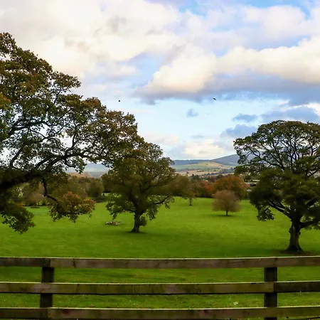 Dom wakacyjny Ballybeg Pod 6