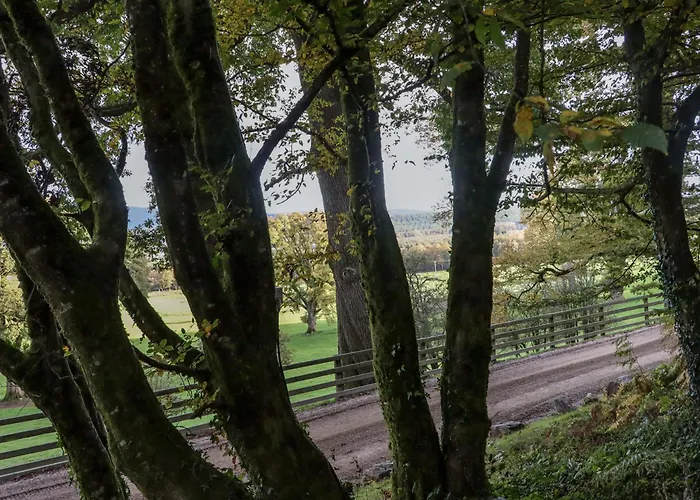 Ballybeg Pod 6 Дом отдыха Аклоу